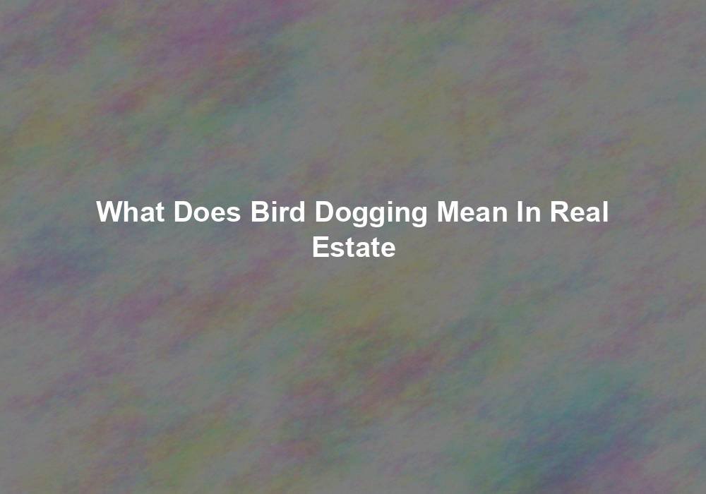 What Does Bird Dogging Mean In Real Estate Solitaire Investment In UAE   16d7efde266bf452bcc4cb718b4189cd3eacbc9c 