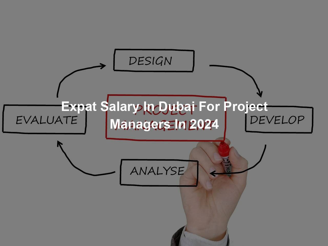 adnoc-expat-salary-2024-company-salaries